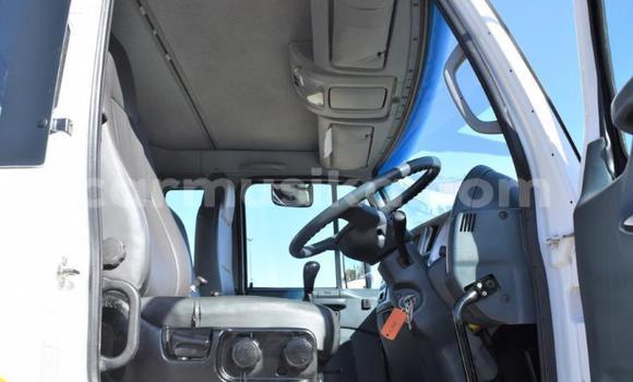 Buy Used Nissan UD White Truck in Beitbridge in Matabeleland South Buy Used Nissan UD White Truck in Beitbridge in Matabeleland South