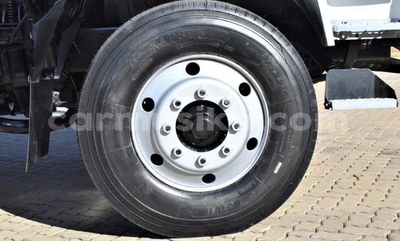 Buy Used Nissan UD White Truck in Beitbridge in Matabeleland South Buy Used Nissan UD White Truck in Beitbridge in Matabeleland South