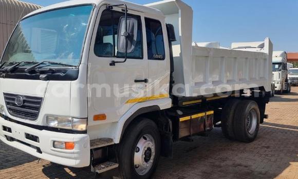 Buy Used Nissan UD White Truck in Beitbridge in Matabeleland South Buy Used Nissan UD White Truck in Beitbridge in Matabeleland South