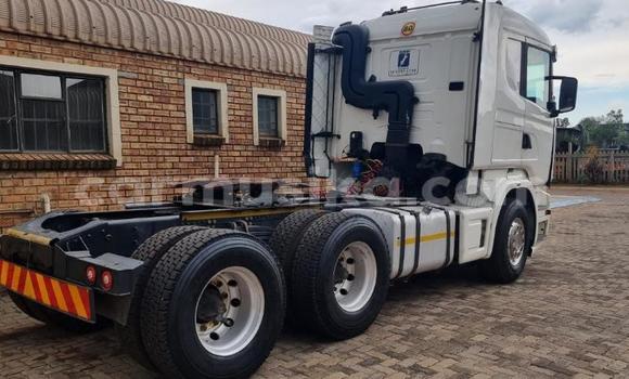 Acheter Occasion Utilitaire Scania R420 Autre à Beitbridge, Matabeleland South Acheter Occasion Utilitaire Scania R420 Autre à Beitbridge, Matabeleland South