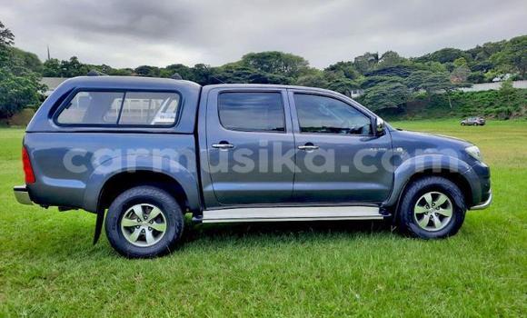 Buy Used Toyota Hilux Other Car in Beitbridge in Matabeleland South Buy Used Toyota Hilux Other Car in Beitbridge in Matabeleland South