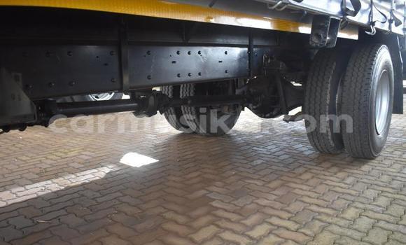 Tenga Tsaru Nissan UD Zvimwe Rori in Beitbridge in Matabeleland South Tenga Tsaru Nissan UD Zvimwe Rori in Beitbridge in Matabeleland South