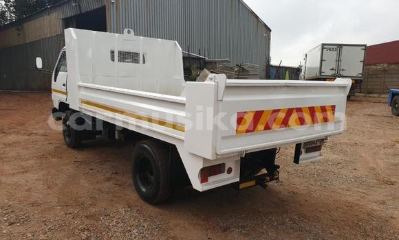 Buy Used Toyota Dyna White Truck in Beitbridge in Matabeleland South Buy Used Toyota Dyna White Truck in Beitbridge in Matabeleland South