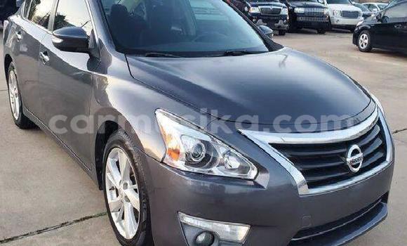 Buy Used Nissan Altima Other Car in Beitbridge in Matabeleland South