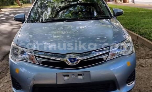 Nunua Mpya Toyota Corolla Bluu Gari ndani ya Borrowdale nchini Harare