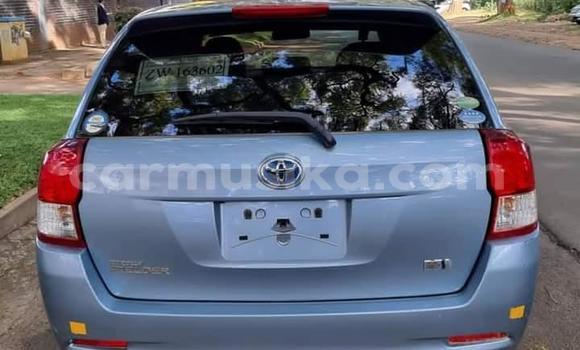 Acheter Neuf Voiture Toyota Corolla Bleu à Borrowdale, Harare Acheter Neuf Voiture Toyota Corolla Bleu à Borrowdale, Harare