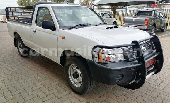Tenga Tsaru Nissan NP 300 Chena Mota in Beitbridge in Matabeleland South Tenga Tsaru Nissan NP 300 Chena Mota in Beitbridge in Matabeleland South