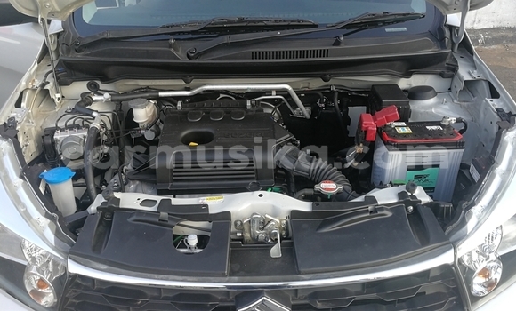 Tenga Tsaru Suzuki Celerio Sirivha Mota in Beitbridge in Matabeleland South Tenga Tsaru Suzuki Celerio Sirivha Mota in Beitbridge in Matabeleland South