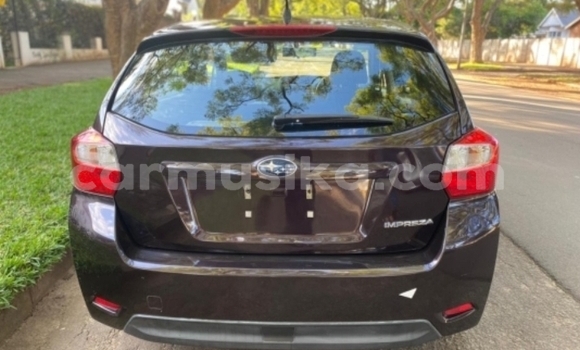 Acheter Neuf Voiture Subaru Impreza Autre à Borrowdale, Harare Acheter Neuf Voiture Subaru Impreza Autre à Borrowdale, Harare