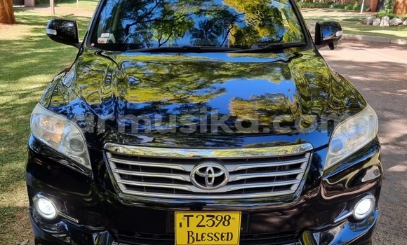 Buy New Toyota Vanguard Black Car in Borrowdale in Harare