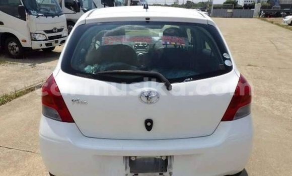 Buy Import Toyota Vitz White Car in Beitbridge in Matabeleland South Buy Import Toyota Vitz White Car in Beitbridge in Matabeleland South