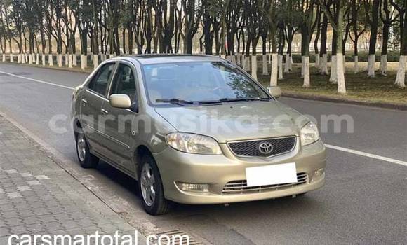 Nunua Ilio tumika Toyota Vios Fedha Gari ndani ya Alexandra Park nchini Harare Nunua Ilio tumika Toyota Vios Fedha Gari ndani ya Alexandra Park nchini Harare