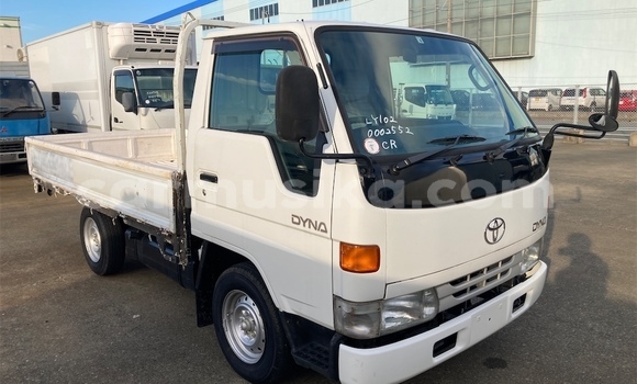 Buy Used Toyota Dyna White Truck in Beitbridge in Matabeleland South