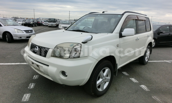 Buy Used Nissan X–Trail White Car in Beitbridge in Matabeleland South Buy Used Nissan X–Trail White Car in Beitbridge in Matabeleland South