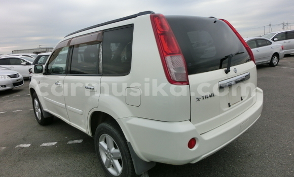Buy Used Nissan X–Trail White Car in Beitbridge in Matabeleland South Buy Used Nissan X–Trail White Car in Beitbridge in Matabeleland South