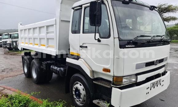 Tenga Tsaru Nissan UD Chena Rori in Beitbridge in Matabeleland South