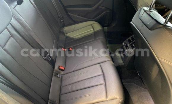 Tenga Tsaru Audi A4 Bhuruu Mota in Beitbridge in Matabeleland South Tenga Tsaru Audi A4 Bhuruu Mota in Beitbridge in Matabeleland South