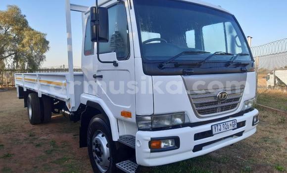 Buy Used Nissan UD White Truck in Beitbridge in Matabeleland South