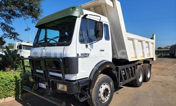 Tenga Tsaru Mercedes‒Benz Tipper Chena Rori in Beitbridge in Matabeleland South