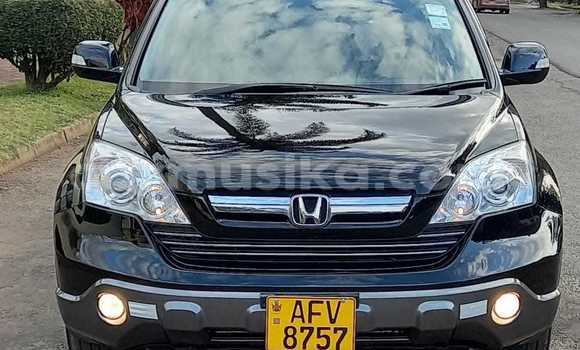 Buy Used Honda CR–V Black Car in Borrowdale in Harare
