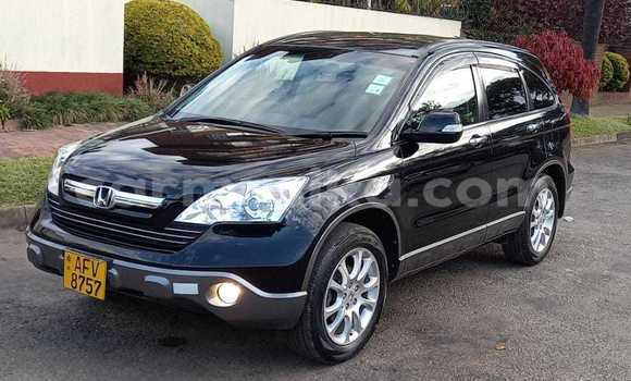 Acheter Occasion Voiture Honda CR–V Noir à Borrowdale, Harare Acheter Occasion Voiture Honda CR–V Noir à Borrowdale, Harare
