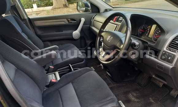 Acheter Occasion Voiture Honda CR–V Noir à Borrowdale, Harare Acheter Occasion Voiture Honda CR–V Noir à Borrowdale, Harare