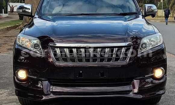 Acheter Neuf Voiture Toyota Vanguard Autre à Avondale, Harare