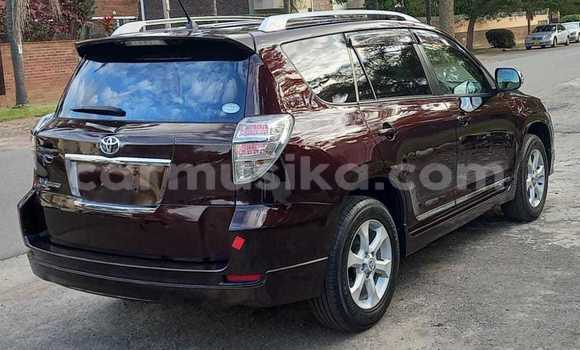 Acheter Neuf Voiture Toyota Vanguard Autre à Avondale, Harare Acheter Neuf Voiture Toyota Vanguard Autre à Avondale, Harare