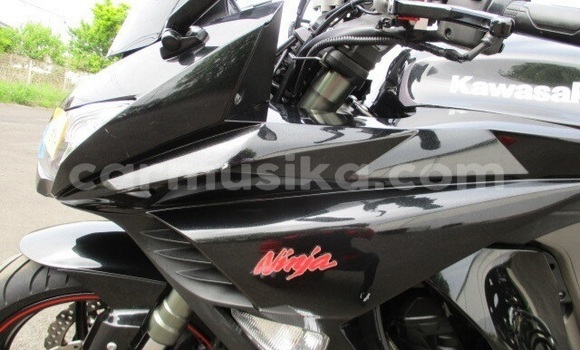 Tenga Tsaru Kawasaki Ninja Zvimwe Bike in Beitbridge in Matabeleland South Tenga Tsaru Kawasaki Ninja Zvimwe Bike in Beitbridge in Matabeleland South