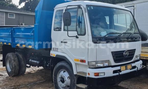 Buy Used Nissan UD Other Truck in Beitbridge in Matabeleland South