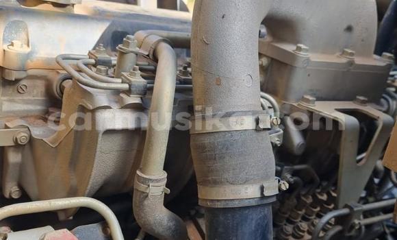 Acheter Occasion Utilitaire Nissan UD Autre à Beitbridge, Matabeleland South Acheter Occasion Utilitaire Nissan UD Autre à Beitbridge, Matabeleland South