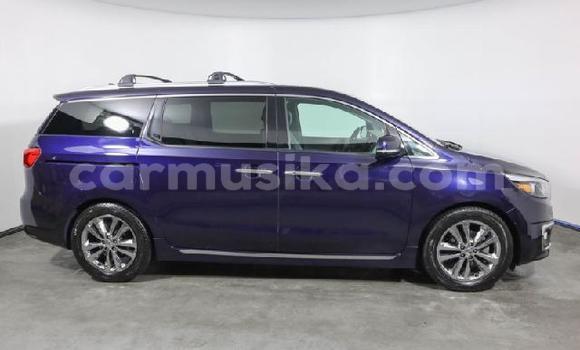Buy Used Kia Sedona Blue Car in Beitbridge in Matabeleland South