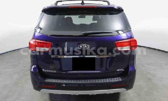Buy Used Kia Sedona Blue Car in Beitbridge in Matabeleland South Buy Used Kia Sedona Blue Car in Beitbridge in Matabeleland South