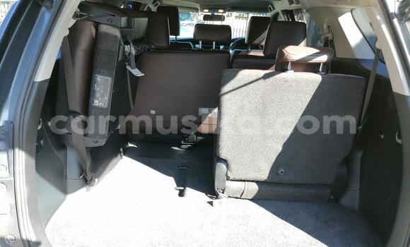 Acheter Occasion Voiture Toyota Fortuner Gris à Beitbridge, Matabeleland South Acheter Occasion Voiture Toyota Fortuner Gris à Beitbridge, Matabeleland South