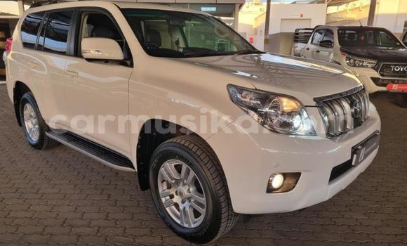 Tenga Tsaru Toyota Land Cruiser Prado Chena Mota in Beitbridge in Matabeleland South Tenga Tsaru Toyota Land Cruiser Prado Chena Mota in Beitbridge in Matabeleland South
