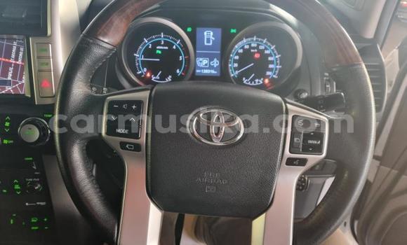 Tenga Tsaru Toyota Land Cruiser Prado Chena Mota in Beitbridge in Matabeleland South Tenga Tsaru Toyota Land Cruiser Prado Chena Mota in Beitbridge in Matabeleland South