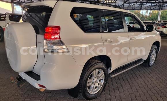 Tenga Tsaru Toyota Land Cruiser Prado Chena Mota in Beitbridge in Matabeleland South Tenga Tsaru Toyota Land Cruiser Prado Chena Mota in Beitbridge in Matabeleland South
