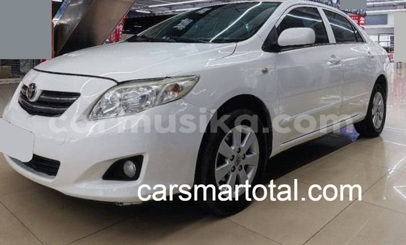 Buy Used Toyota Corolla White Car in Harare in Harare Buy Used Toyota Corolla White Car in Harare in Harare