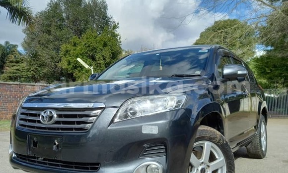 Buy New Toyota Vanguard Other Car in Harare in Harare