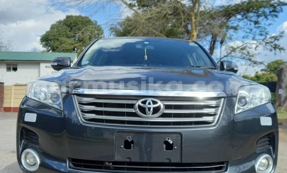 Tenga Itsva Toyota Vanguard Zvimwe Mota in Harare in Harare Tenga Itsva Toyota Vanguard Zvimwe Mota in Harare in Harare
