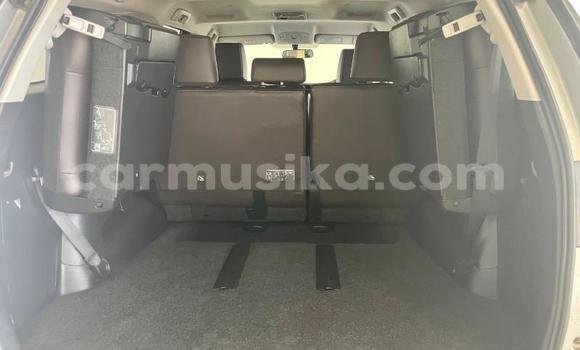 Acheter Occasion Voiture Toyota Fortuner Gris à Beitbridge, Matabeleland South Acheter Occasion Voiture Toyota Fortuner Gris à Beitbridge, Matabeleland South