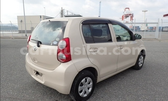 Tenga Tsaru Toyota Passo Zvimwe Mota in Beitbridge in Matabeleland South Tenga Tsaru Toyota Passo Zvimwe Mota in Beitbridge in Matabeleland South