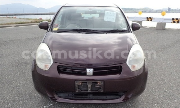 Buy Used Toyota Passo Other Car in Beitbridge in Matabeleland South Buy Used Toyota Passo Other Car in Beitbridge in Matabeleland South