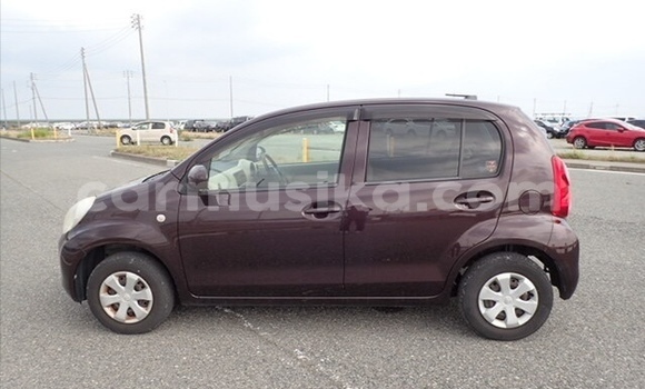 Buy Used Toyota Passo Other Car in Beitbridge in Matabeleland South Buy Used Toyota Passo Other Car in Beitbridge in Matabeleland South