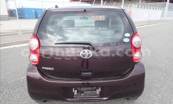 Buy Used Toyota Passo Other Car in Beitbridge in Matabeleland South Buy Used Toyota Passo Other Car in Beitbridge in Matabeleland South