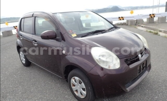 Buy Used Toyota Passo Other Car in Beitbridge in Matabeleland South Buy Used Toyota Passo Other Car in Beitbridge in Matabeleland South