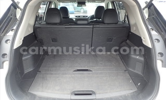 Tenga Tsaru Nissan X–Trail Chena Mota in Beitbridge in Matabeleland South Tenga Tsaru Nissan X–Trail Chena Mota in Beitbridge in Matabeleland South