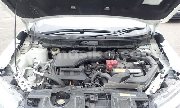 Tenga Tsaru Nissan X–Trail Chena Mota in Beitbridge in Matabeleland South Tenga Tsaru Nissan X–Trail Chena Mota in Beitbridge in Matabeleland South