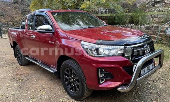 Acheter Occasion Voiture Toyota Hilux Rouge à Beitbridge, Matabeleland South Acheter Occasion Voiture Toyota Hilux Rouge à Beitbridge, Matabeleland South