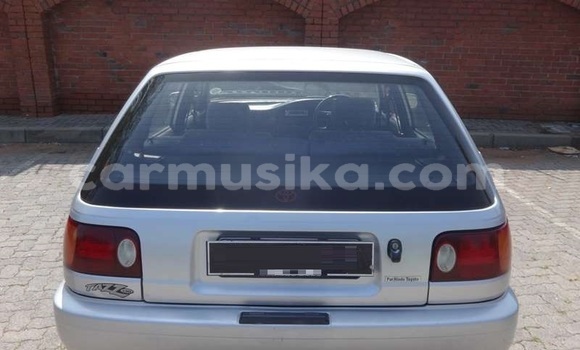 Tenga Tsaru Toyota Tacoma Sirivha Mota in Beitbridge in Matabeleland South Tenga Tsaru Toyota Tacoma Sirivha Mota in Beitbridge in Matabeleland South